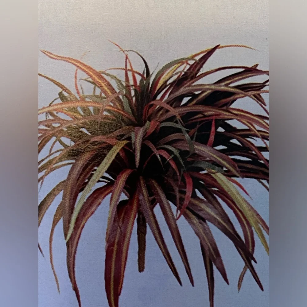 VARIEGATED SPIDER BUSH (1) (faux). Home Interiors. 14” high - Picture 4 of 7